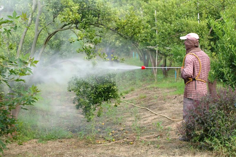 Promotes healthier tree growth