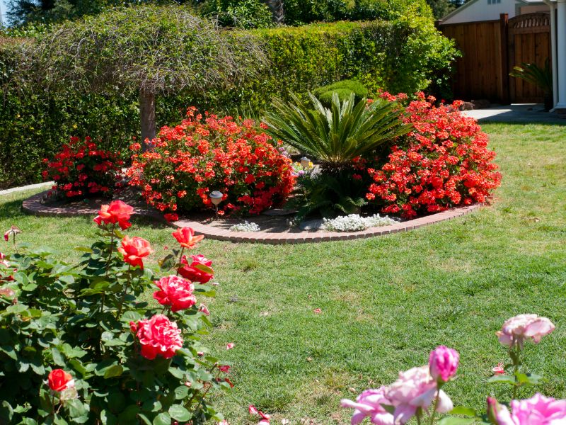 Mulch Installation in Honolulu, HI