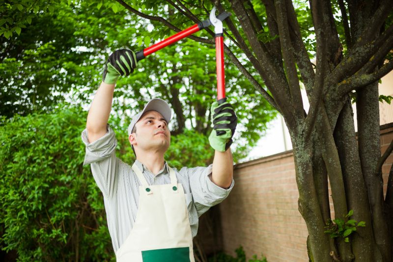 Tree Care Consultants